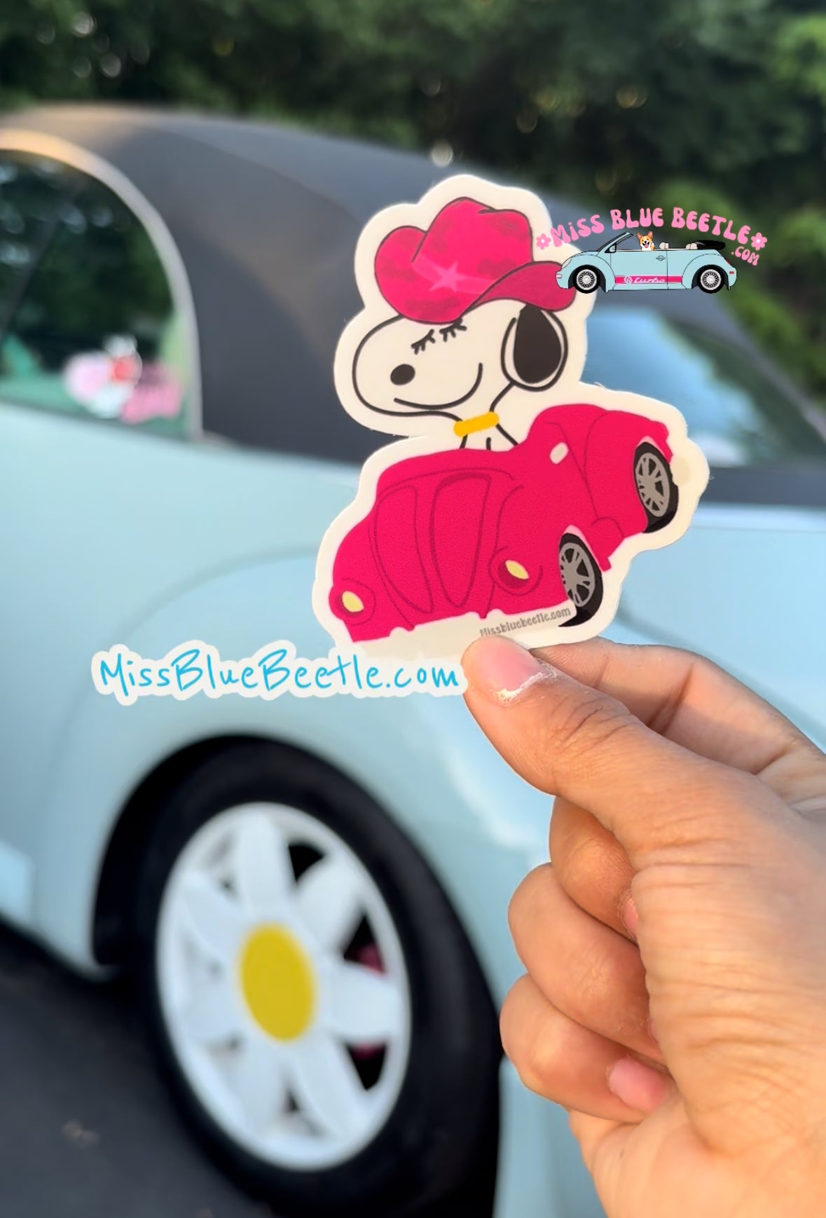 Cowboy Bella bug weatherproof sticker