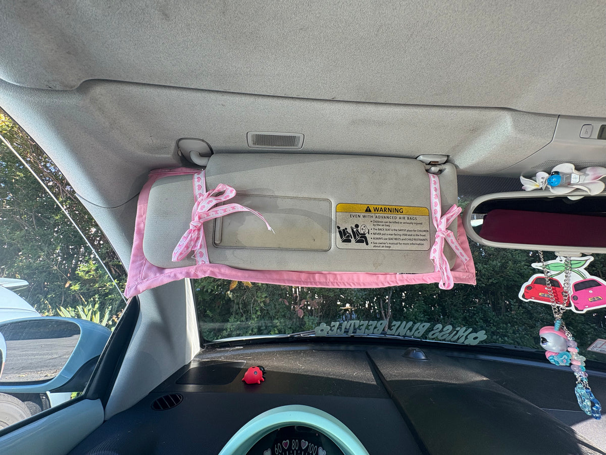 Pastel colors Ladybugs Y2k CD Holders