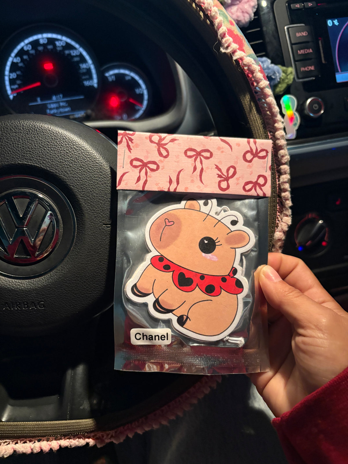Ladybug capybara Airfreshener