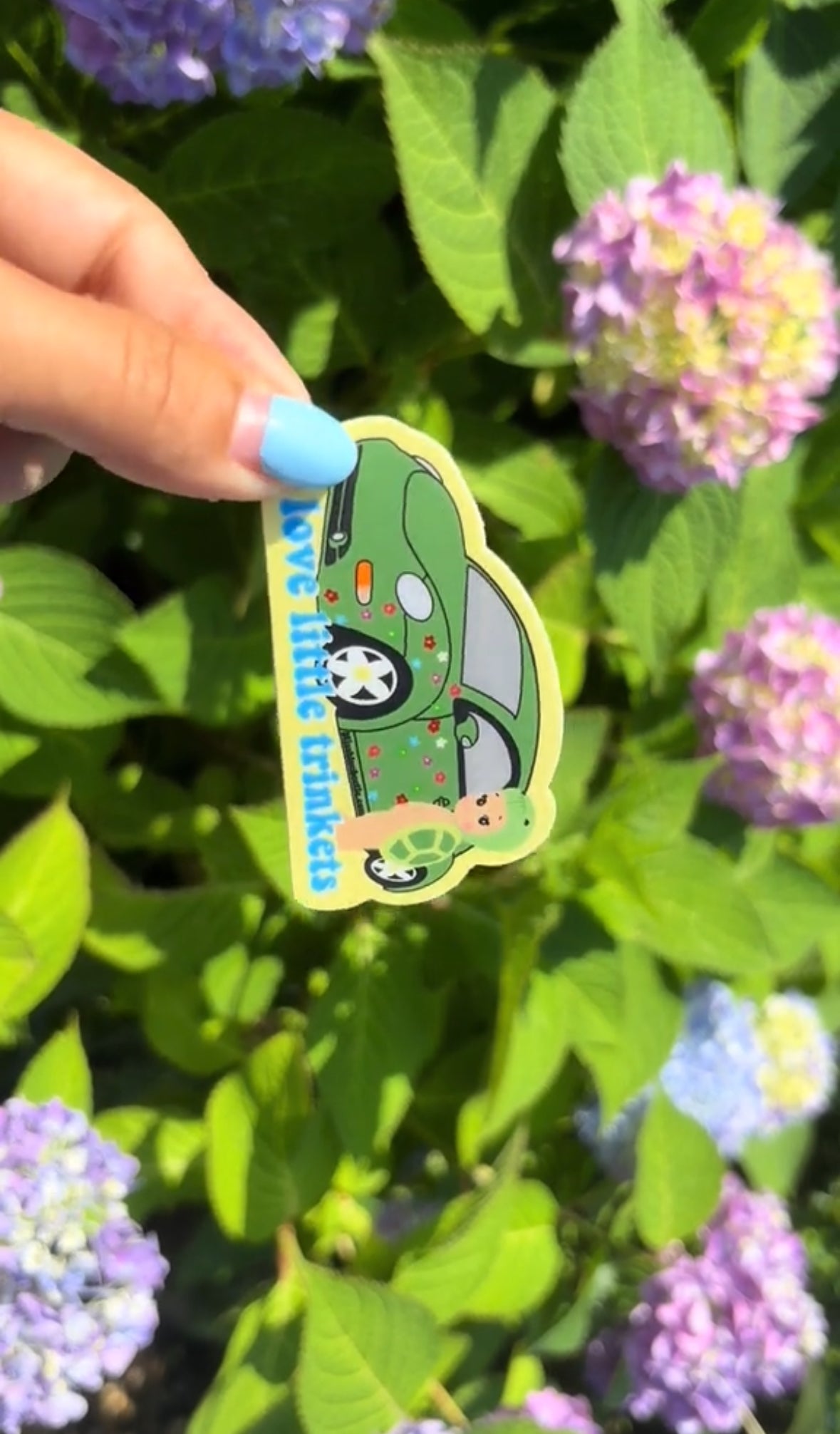 Little trinkets baby turtle Weatherproof Decal