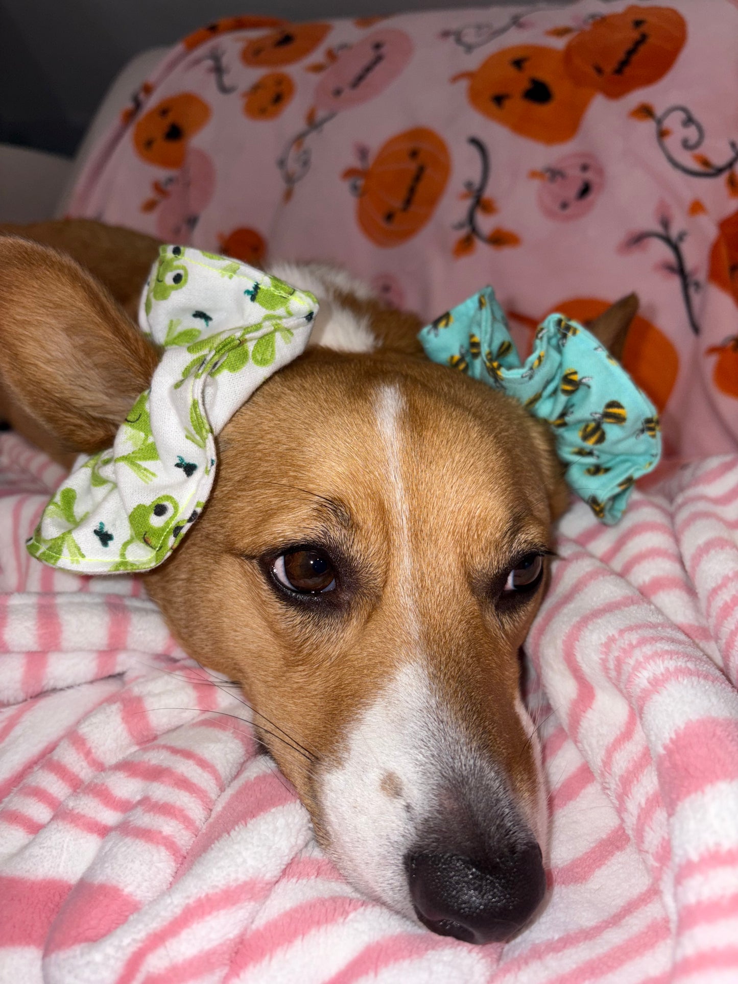 Queen Bees scrunchie