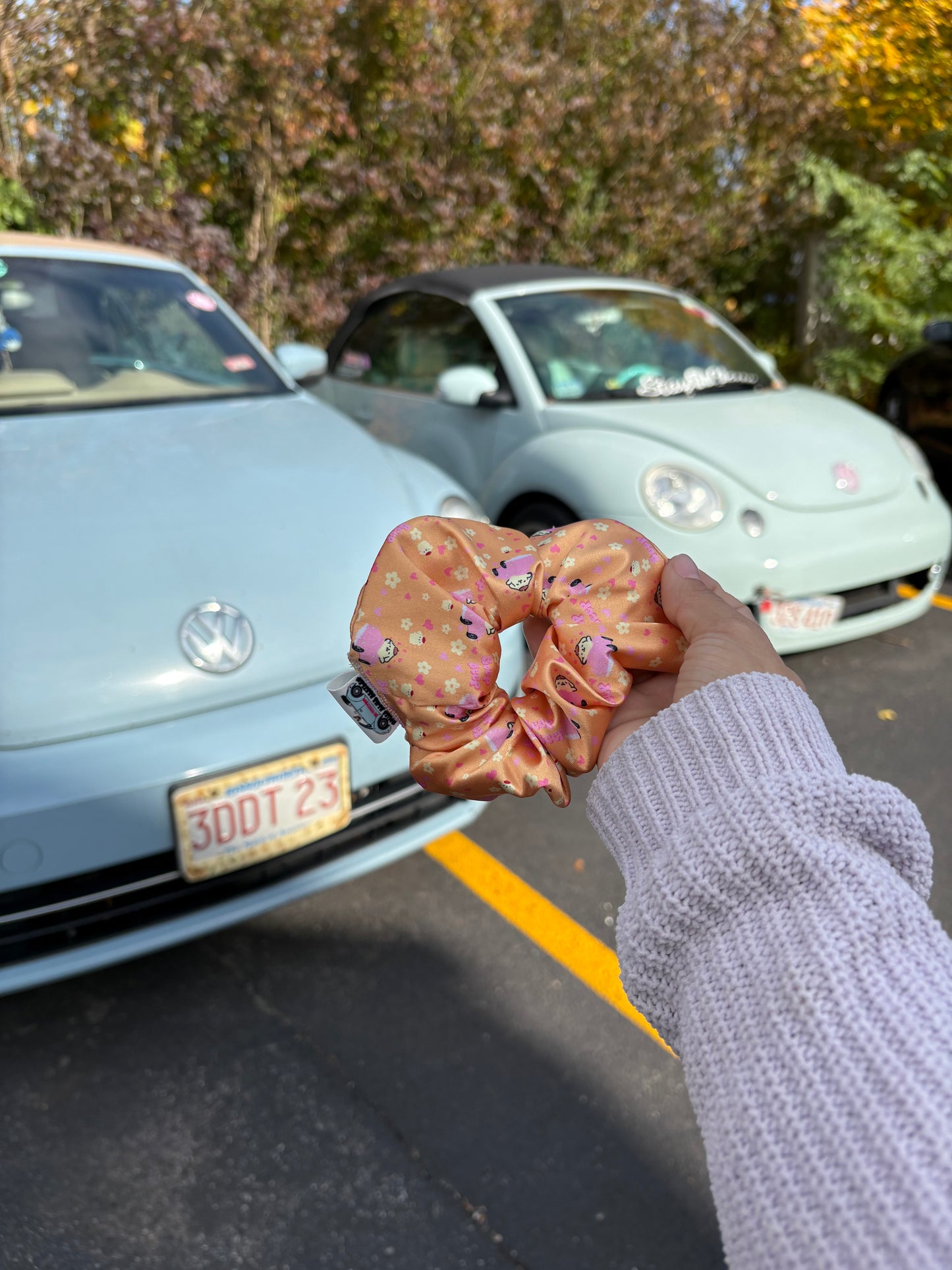 Pompom’s bug satin scrunchie