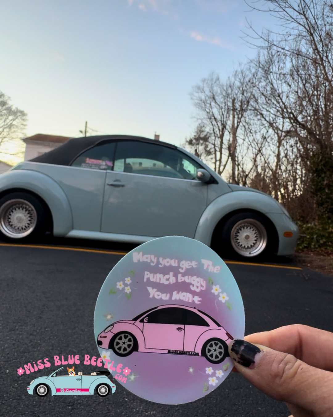 May You Get The Punch Buggy You want Pink Sticker