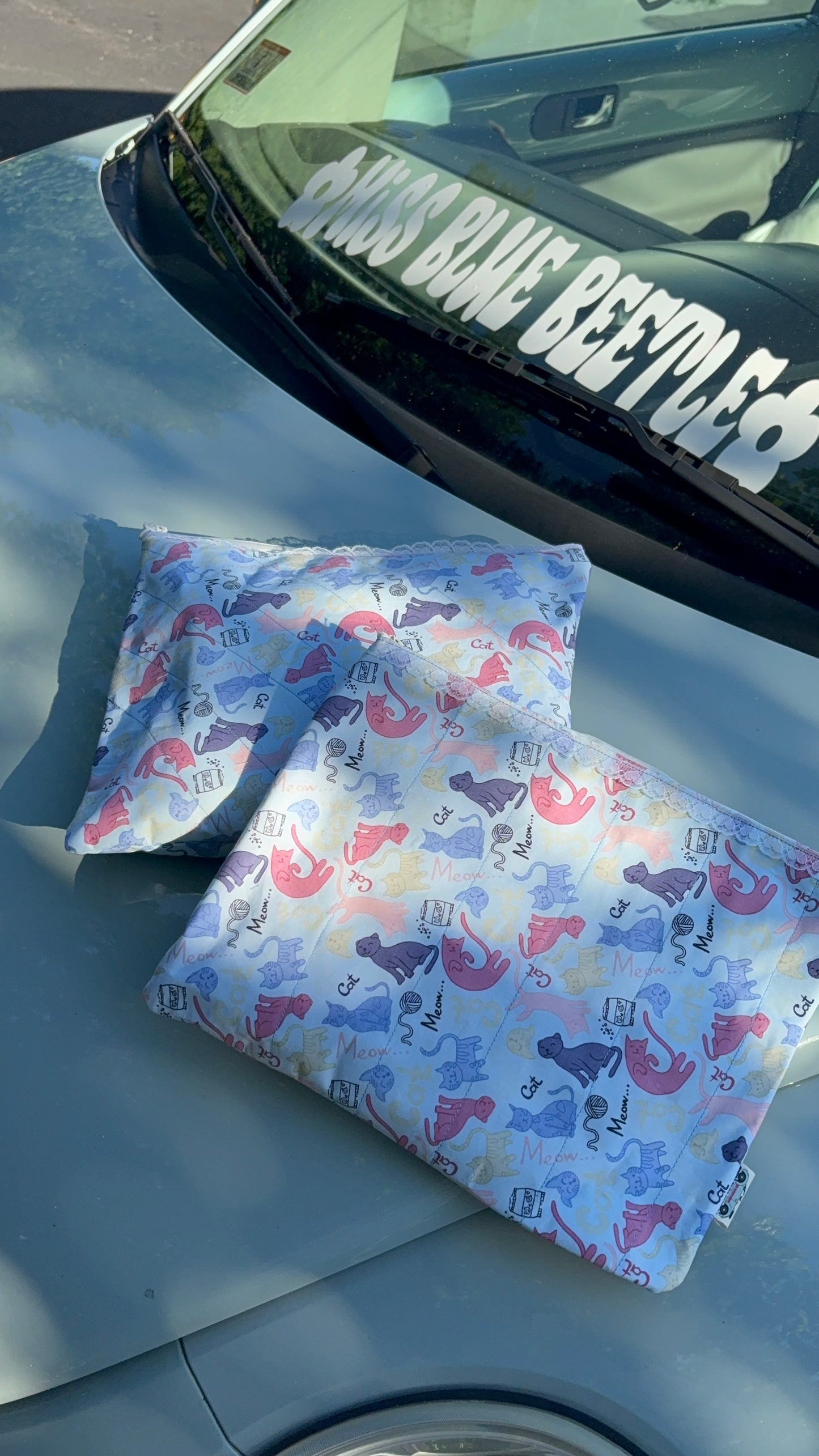 Cats iPad bag/ big Travel Bag