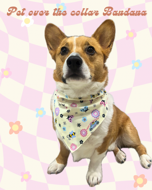 Little Bugs pet over the collar bandana (Reversible! Light blue in the back!)