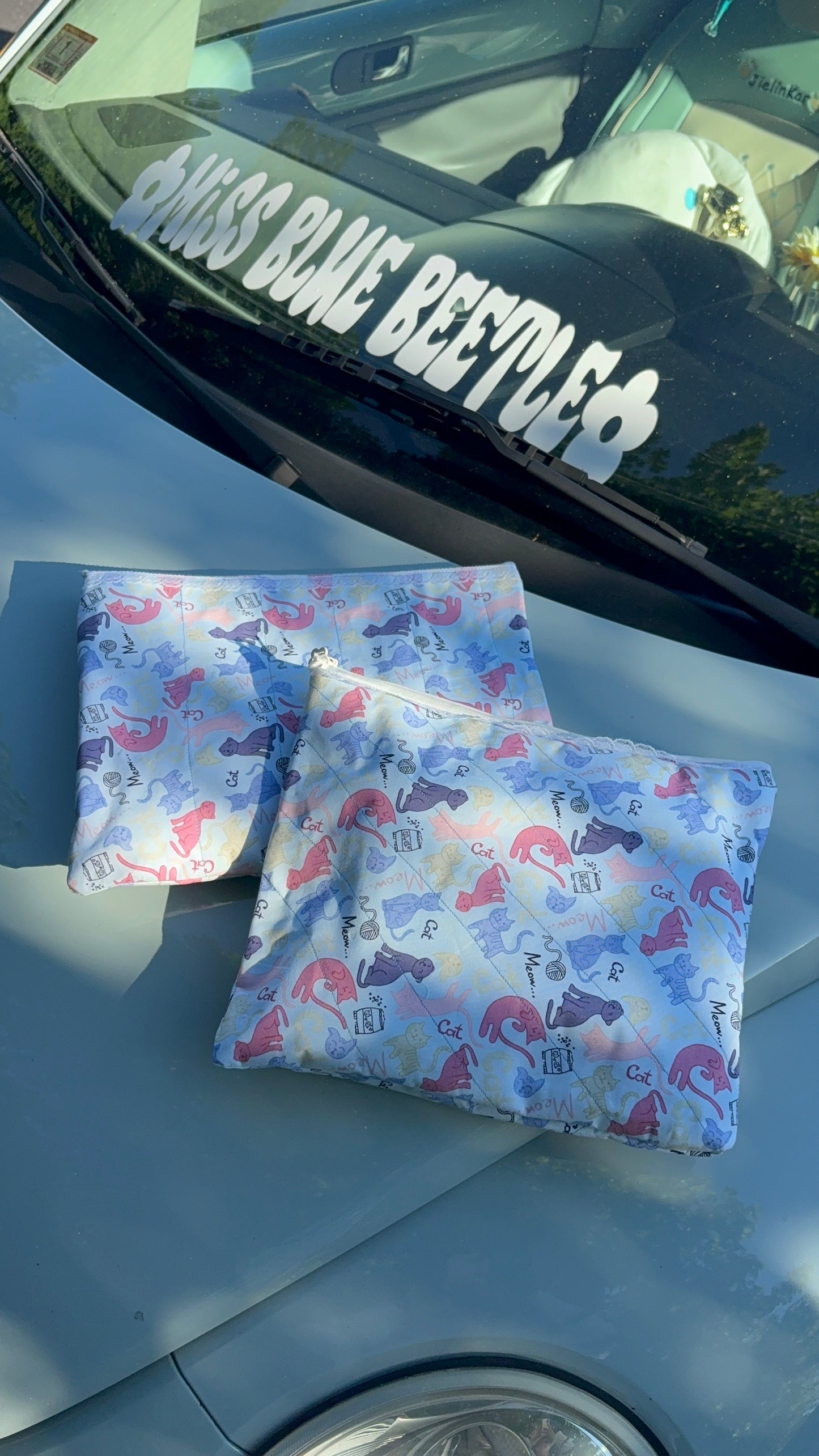Cats iPad bag/ big Travel Bag
