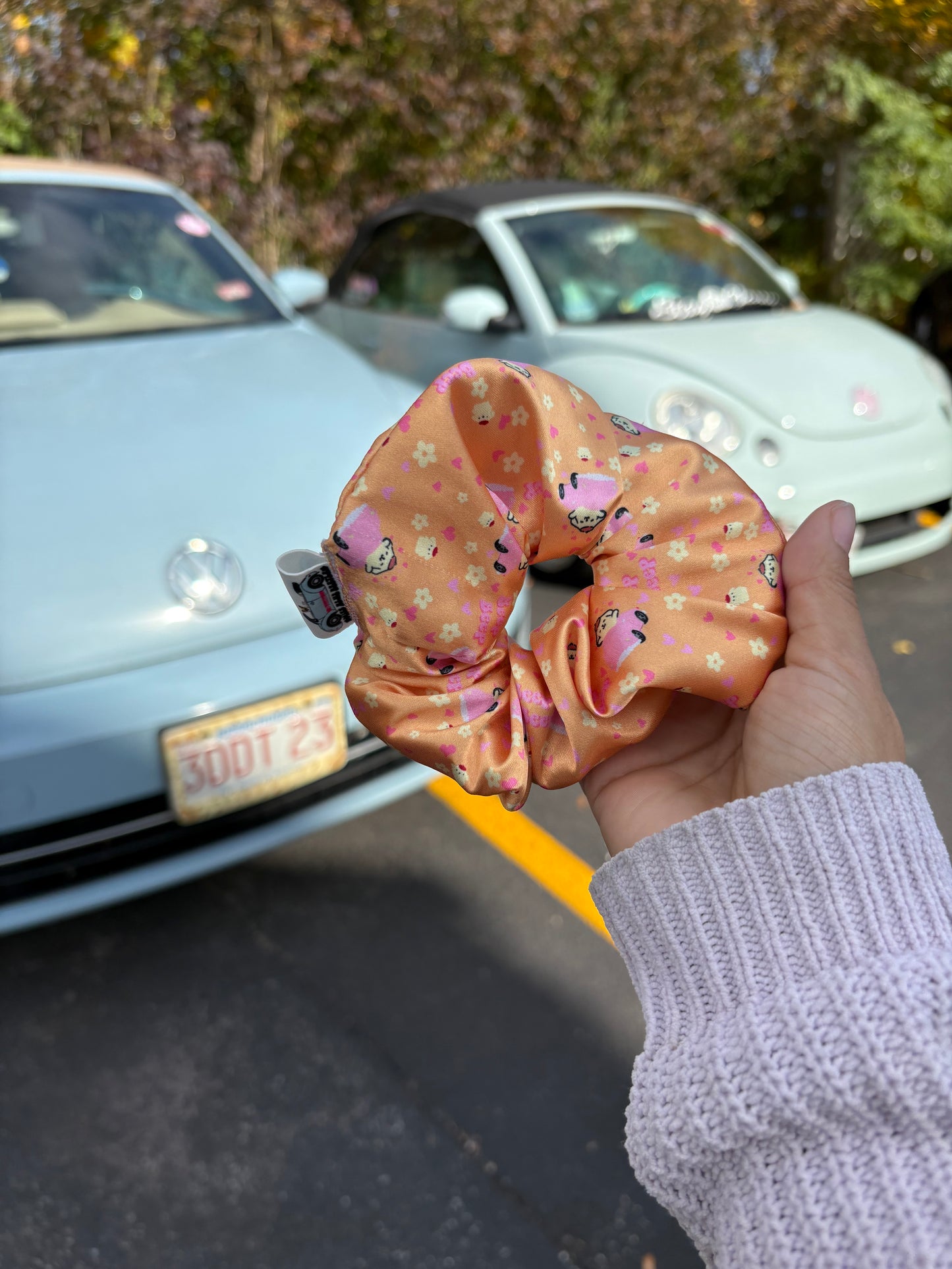 Pompom’s bug satin scrunchie