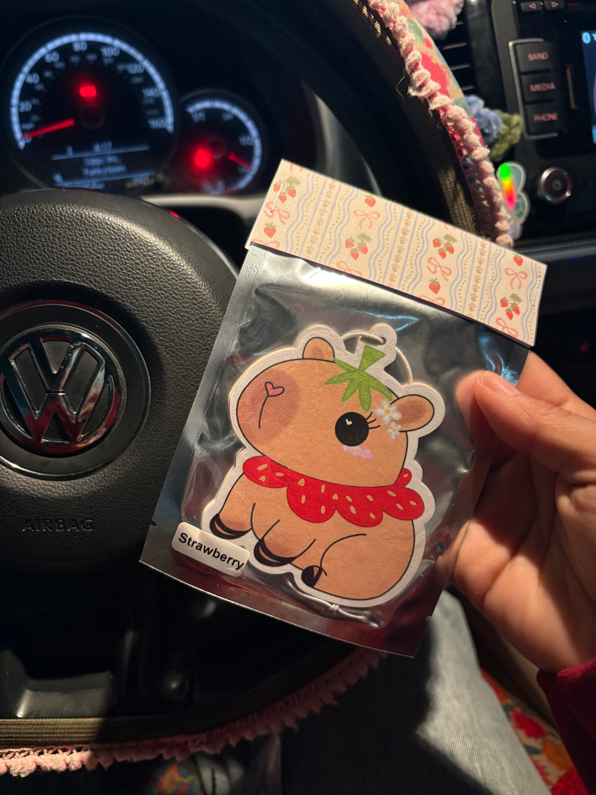 Strawberry capybara Airfreshener