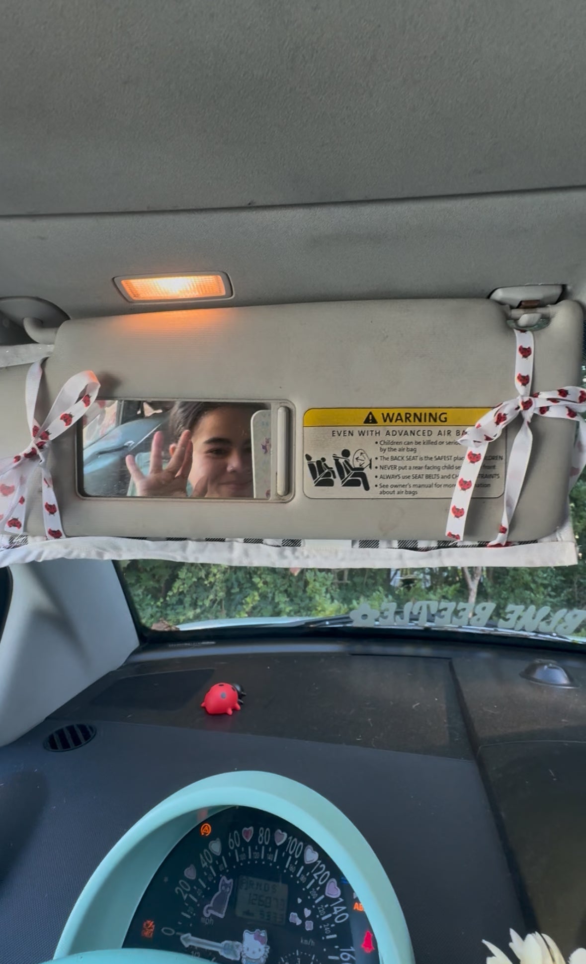 Red Ladybugs Y2k CD Holders
