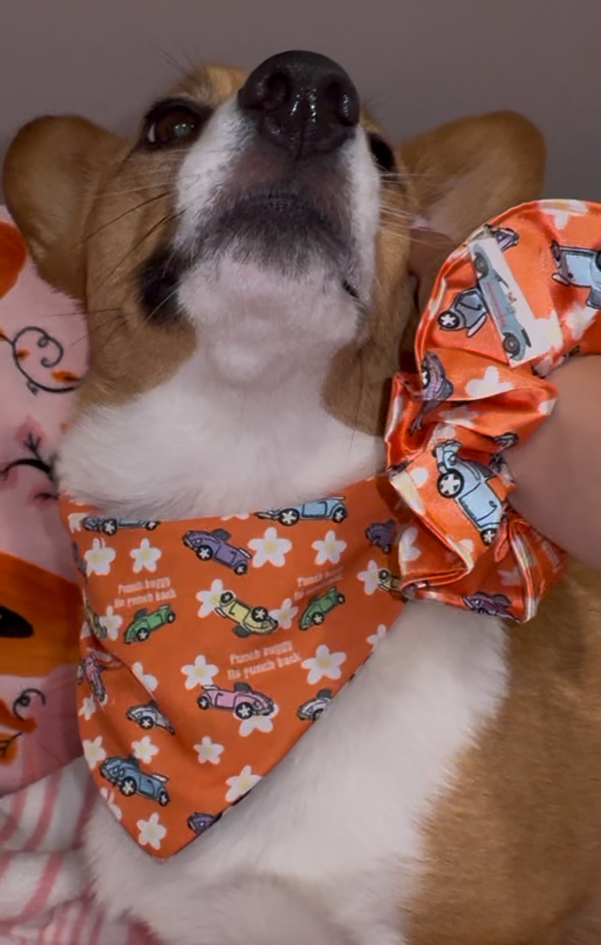 No punch backs scrunchie dog Bandana - Pre Order