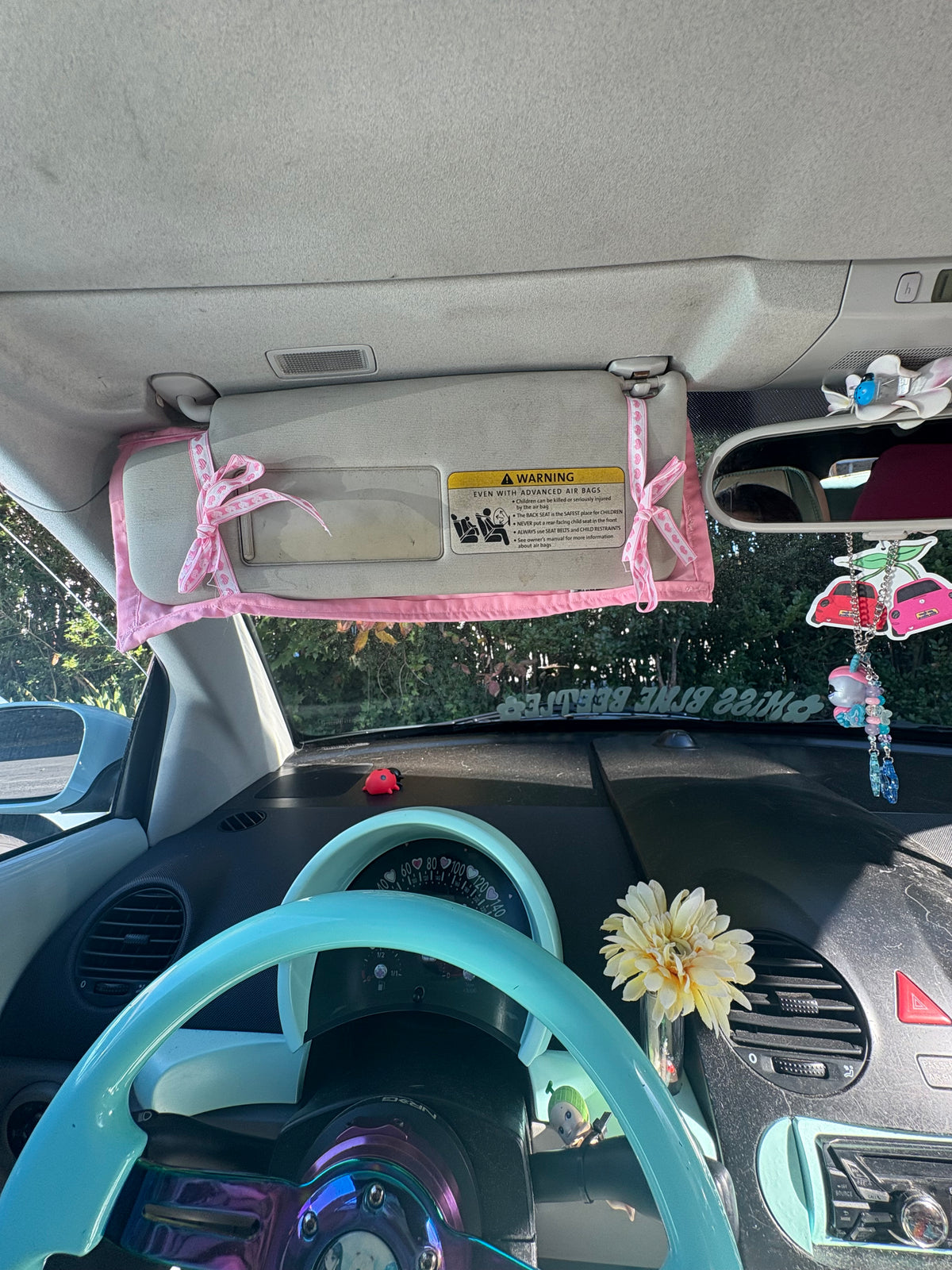 Pastel colors Ladybugs Y2k CD Holders