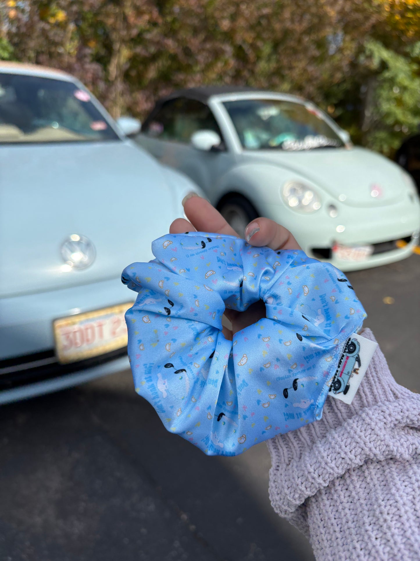 Cinna’s bug satin scrunchie