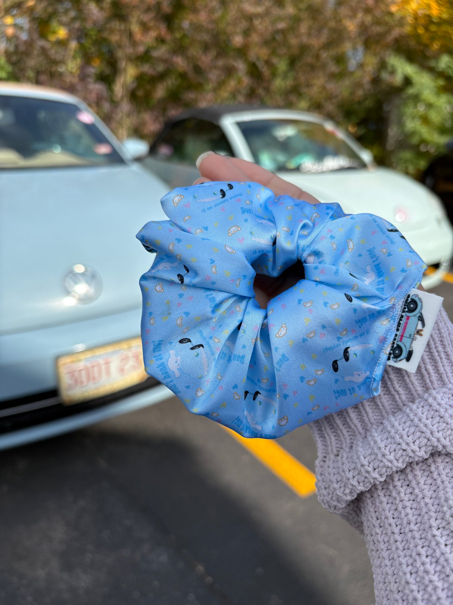 Cinna’s bug satin scrunchie