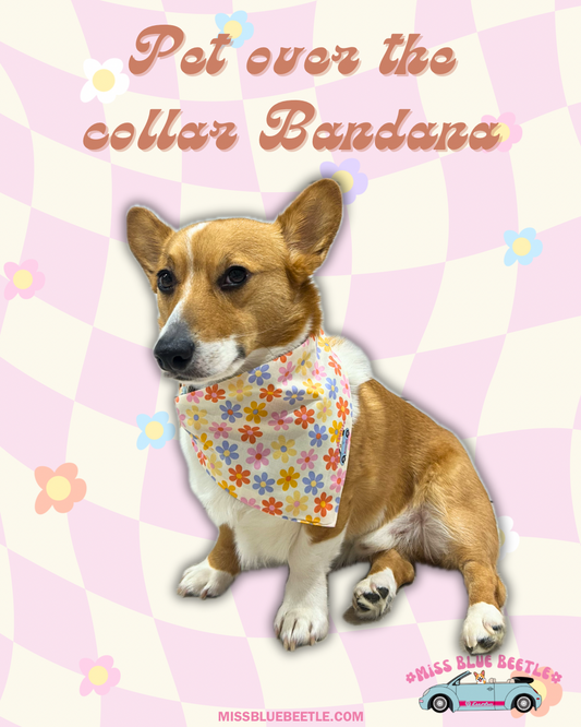 Groovy pet over the collar bandana (Reversible! Light blue in the back!)