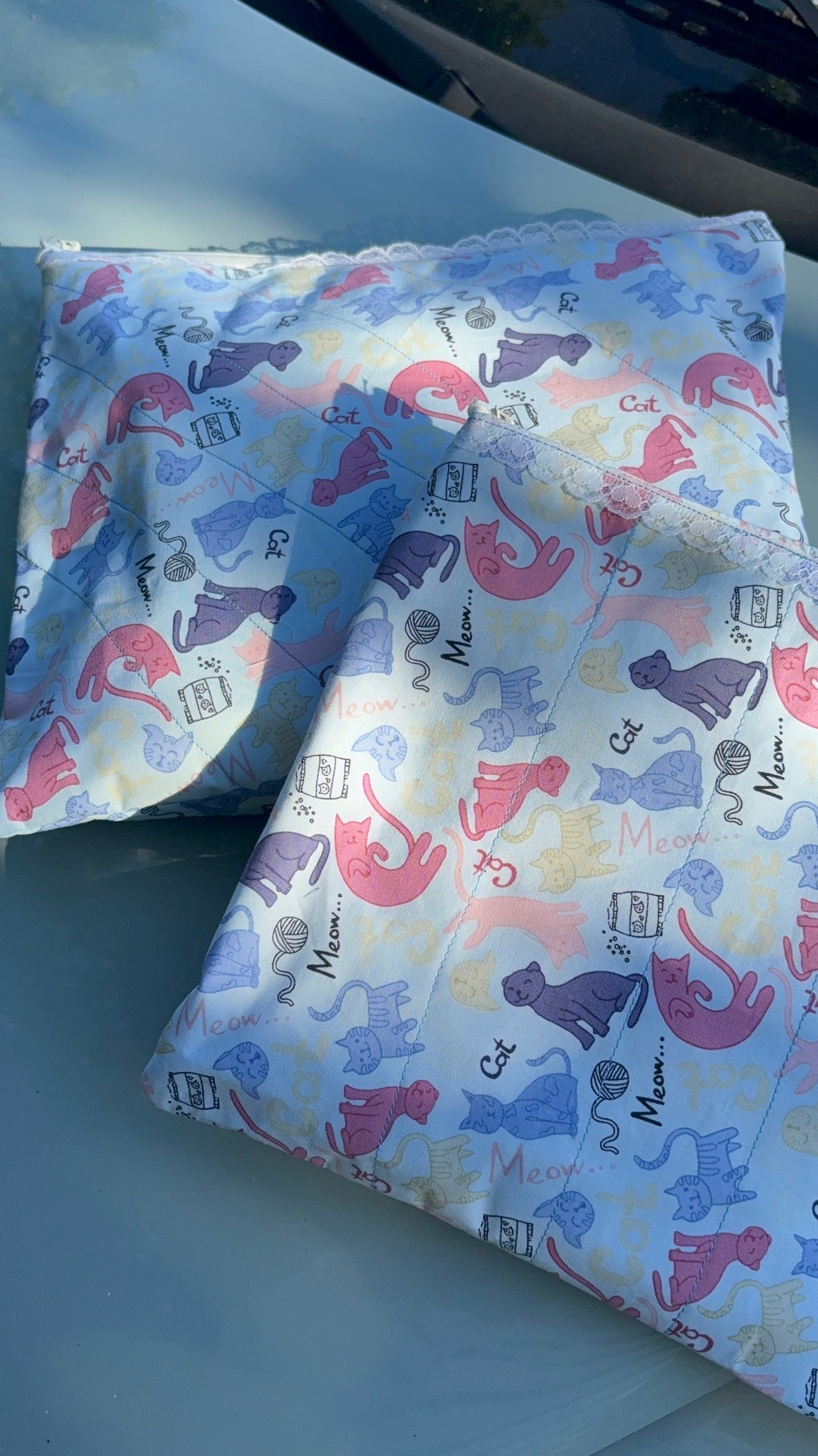 Cats iPad bag/ big Travel Bag