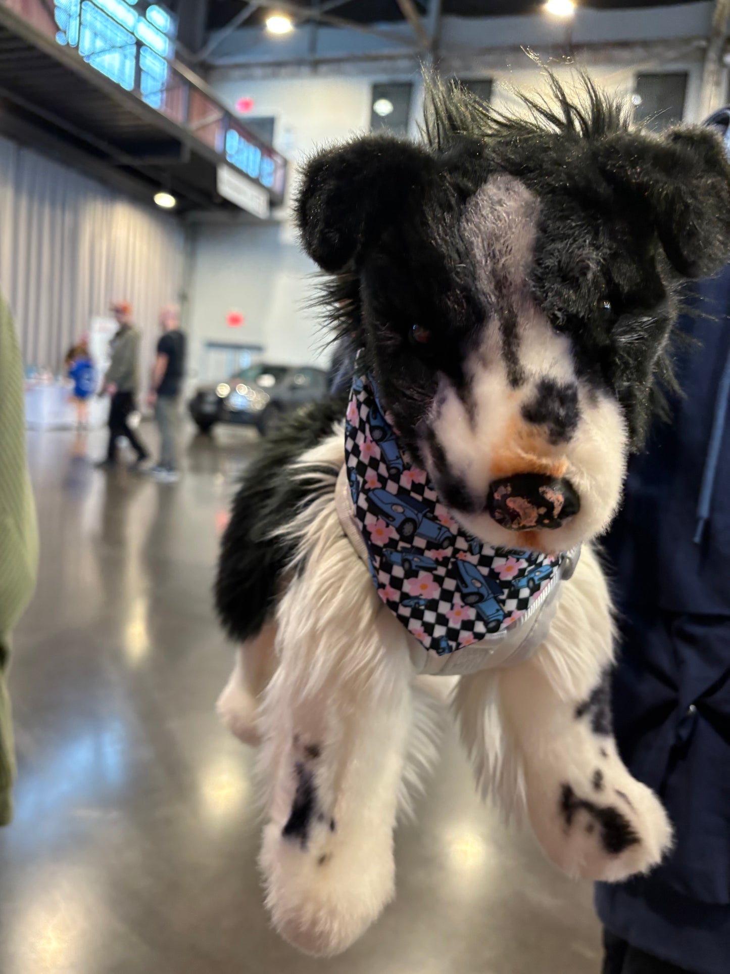 Blue bug scrunchie dog Bandana