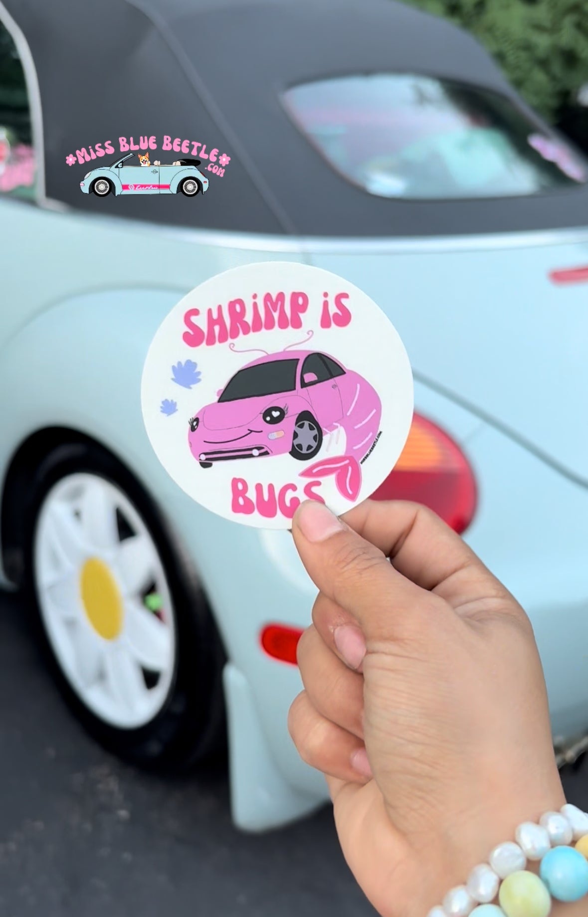 Shrimp is bugs pink beetle weatherproof sticker