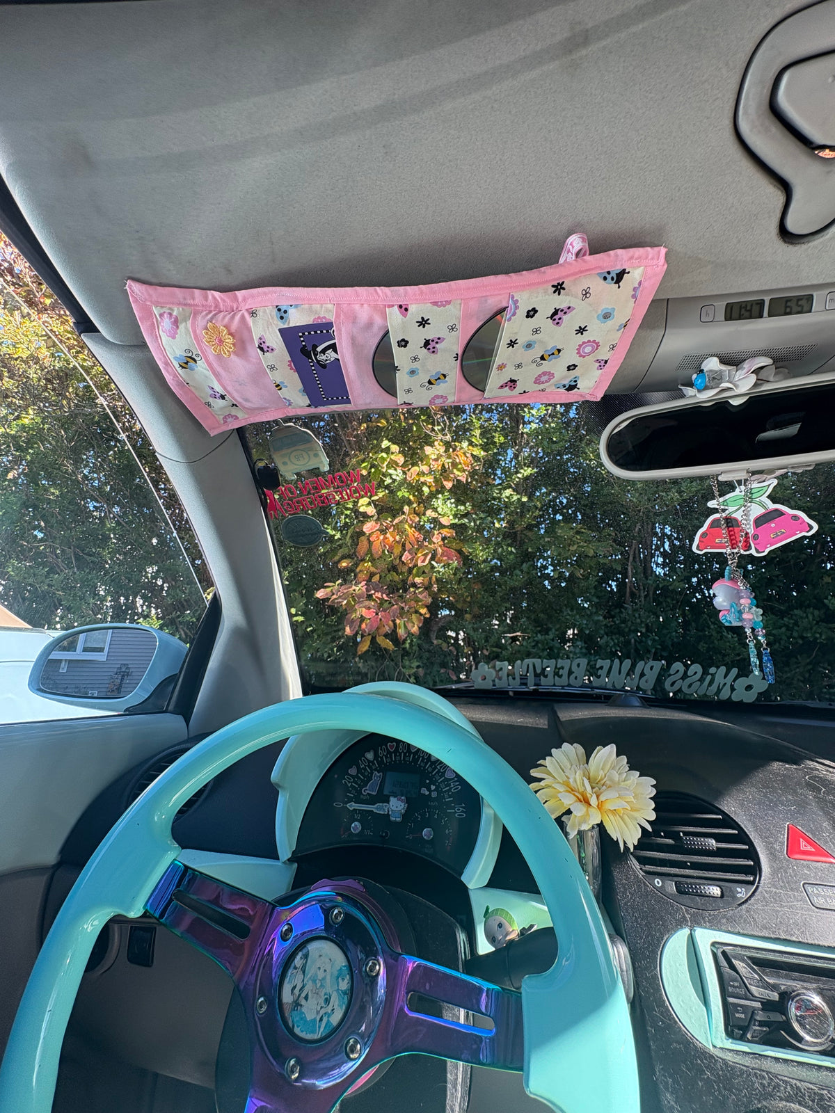 Pastel colors Ladybugs Y2k CD Holders